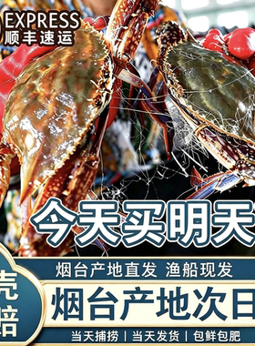 活蟹活发梭子蟹莱州新鲜野生海蟹螃蟹白蟹飞蟹顺丰【保鲜不保活】