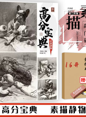 高分宝典素描静物2023敲门砖