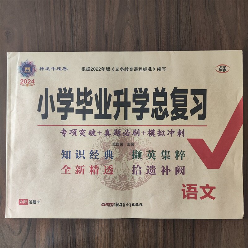 2024神龙牛皮卷小学毕业升学总复习试卷语文 名校招生真题卷专项突破