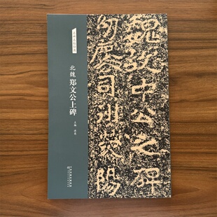 北魏 郑文公上碑 名碑名帖经典 放大本 楷书字帖书法篆刻 洪亮主编 天津人民美术出版社