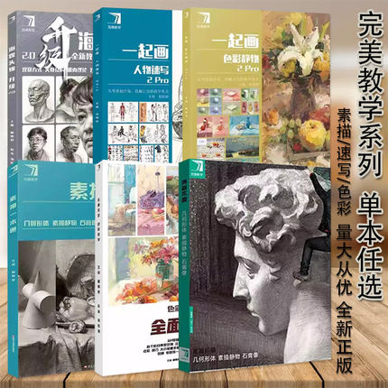完美教学系列素描长期几何形体素描头像8s一起画几何形体素描静物色彩静物一起画人物速写石膏像半身像素描一本通美术高考书