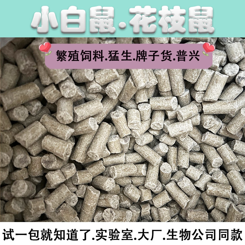 小白鼠花枝鼠饲料高营养繁殖专用图片
