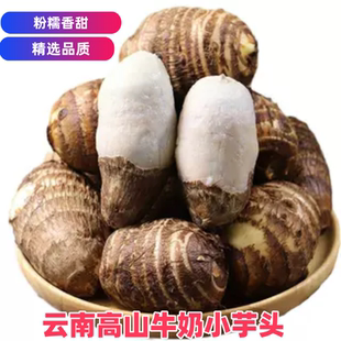 云南牛奶小芋头新鲜蔬菜当季 毛芋头农家自种软糯奶油芋头小香芋