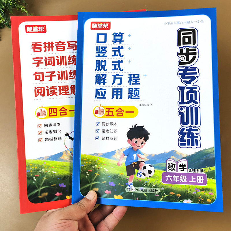 北师大版六年级上册数学专项训练
