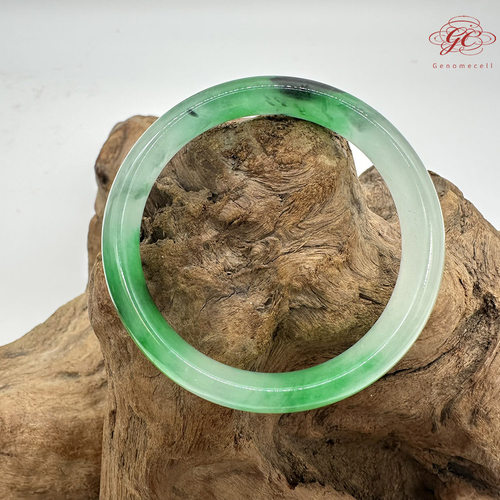 【肌容雪】天然缅甸A货冰正扬绿飘花翡翠平安镯 编号563(#16号)