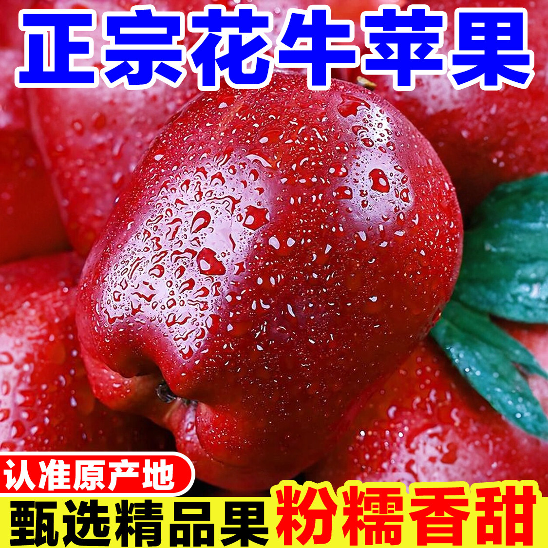 甘肃天水花牛苹果新鲜当季孕妇水果现摘红蛇苹果粉糯丑果婴儿辅食