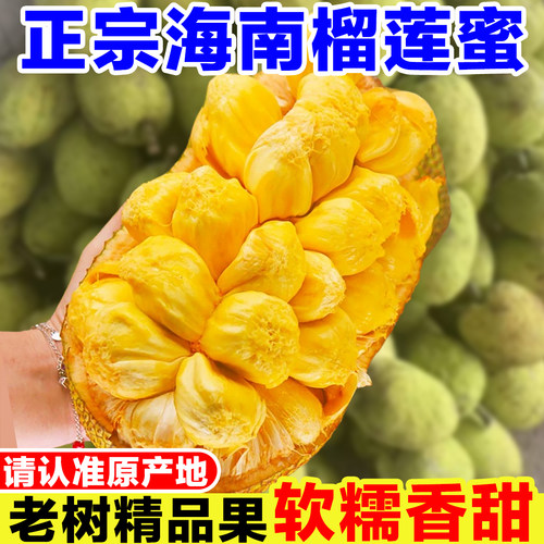 海南榴莲蜜新鲜当季现摘湿包菠萝蜜一整个巴掌榴莲稀有热带水果