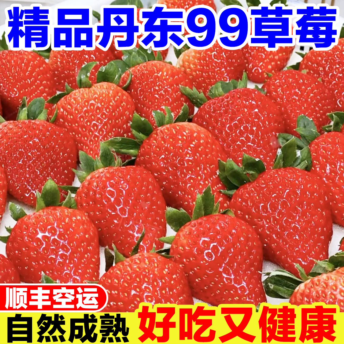 辽宁丹东99草莓新鲜当季孕妇水果现摘奶油草莓特大红颜九九草莓