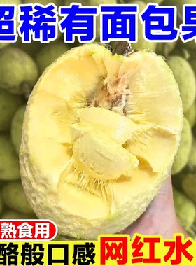 网红面包果新鲜当季现摘面包树果实罕见稀有热带水果猴面包果鲜果