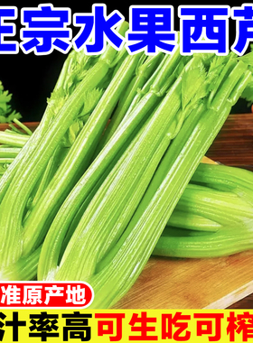 正宗山东西芹水果芹菜新鲜无叶安尼榨汁芹菜嫩心香芹优质绿色青菜