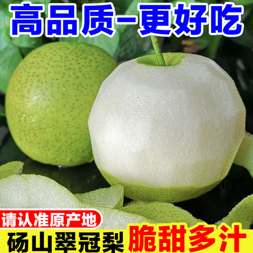 正宗砀山翠冠梨青皮皇冠梨新鲜当季孕妇水果现摘薄皮翠玉梨子整箱
