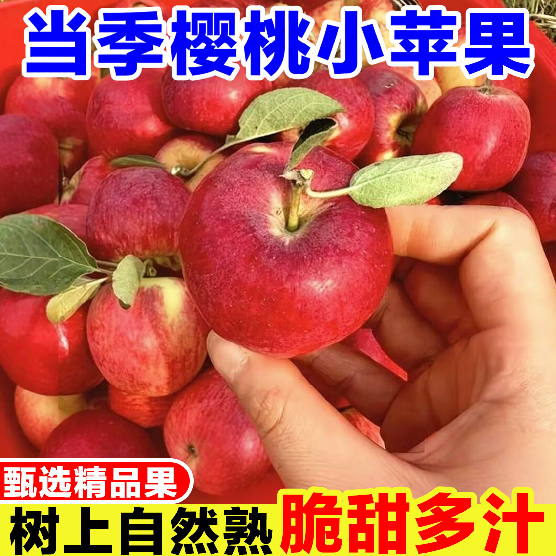 正宗樱桃小苹果新鲜迷你苹果当季水果现摘冰糖心苹果红富士丑苹果