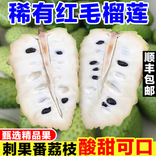 稀有刺果番荔枝新鲜红毛榴莲果当季热带水果酸甜口感非凤梨释迦果