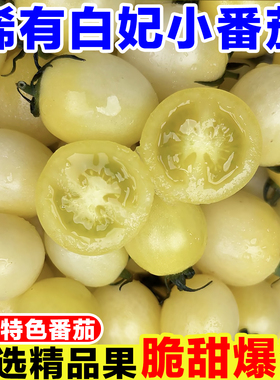 寿光白妃番茄白色圣女果新鲜白番茄黑珍珠小番茄黑白色水果小柿子