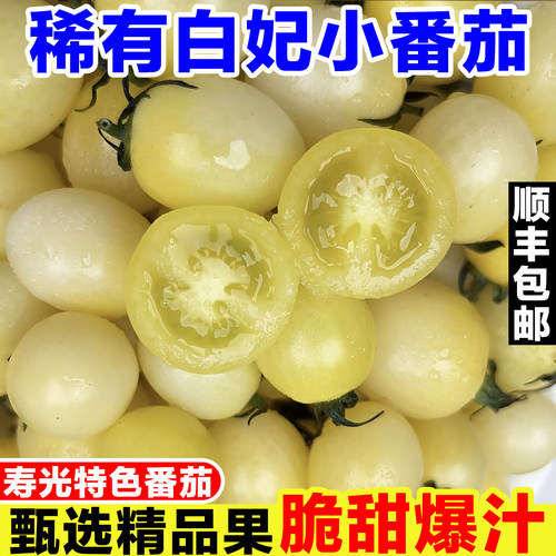 寿光白妃番茄白色圣女果新鲜白番茄黑珍珠小番茄黑白色水果小柿子