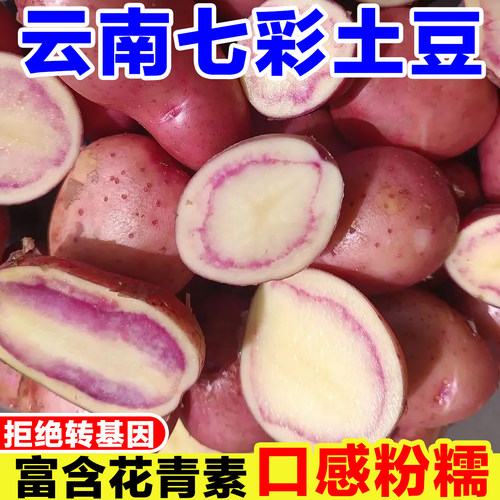 云南七彩土豆新鲜现挖马铃薯紫皮洋芋高原特产花心红皮红心小土豆