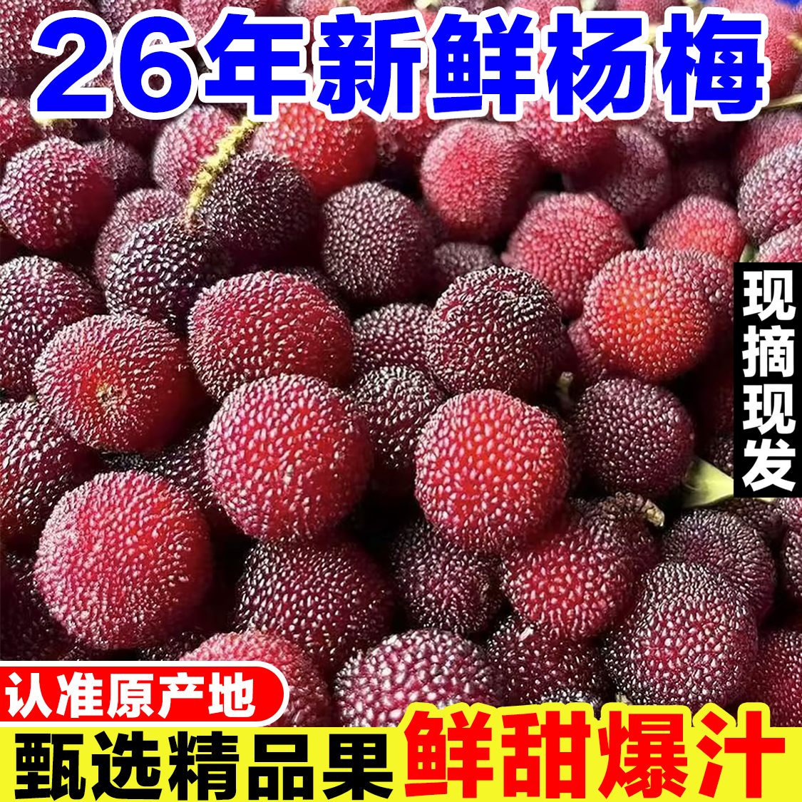 福建东魁杨梅鲜果当季孕妇水果现摘2026头茬石屏漳州杨梅新鲜大果
