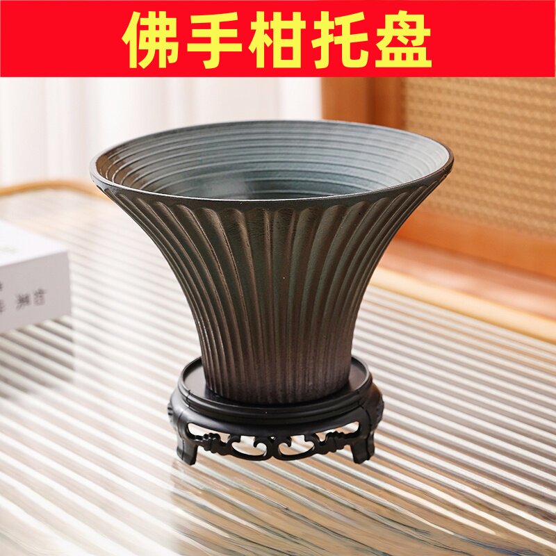 佛手柑专用无孔水培佛手柑花盆水培苔藓球专用客厅书房植物观景盆