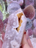 闭眼入 10.3cm 樱花柱 爱了～超正 柠檬金色软糖