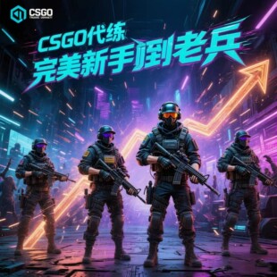 csgo完美新手代肝过新手到老兵代练CS2定级赛秒上号掉分官匹武库