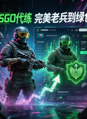 CS2定级赛秒上号掉分官匹武库红信到绿色cs2完美竞技老兵新手代肝