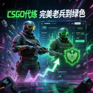 CS2定级赛秒上号掉分官匹武库红信到绿色cs2完美竞技老兵新手代肝