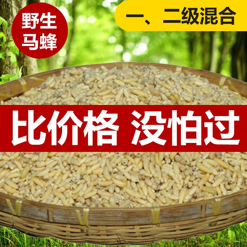 野生马蜂蛹新鲜一二级混合食材活体冰冻黄峰正品葫芦蜂胡蜂儿速冻 传统滋补营养品 蜂蜜糖/蜂制品 原图主图