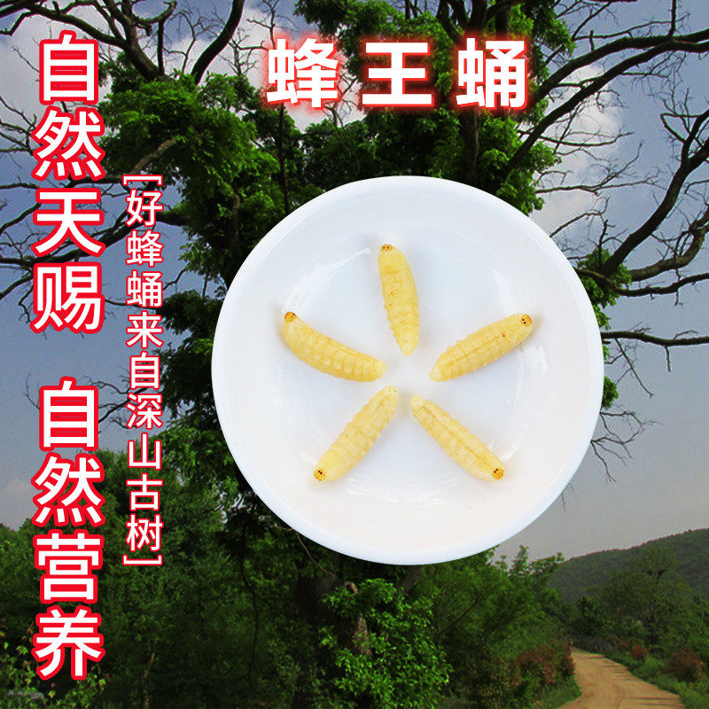 蜂王蛹  更大肥美蜂蛹新鲜野生500g黑葫芦蜂马蜂黄蜂活体冷冻特级