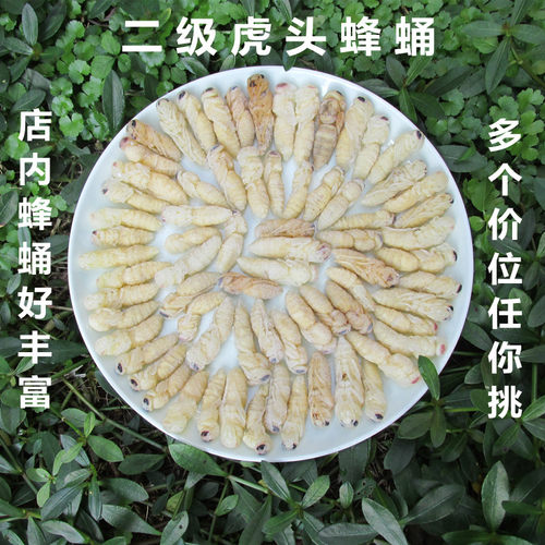 新鲜二级金环大马地雷野生蜂蛹