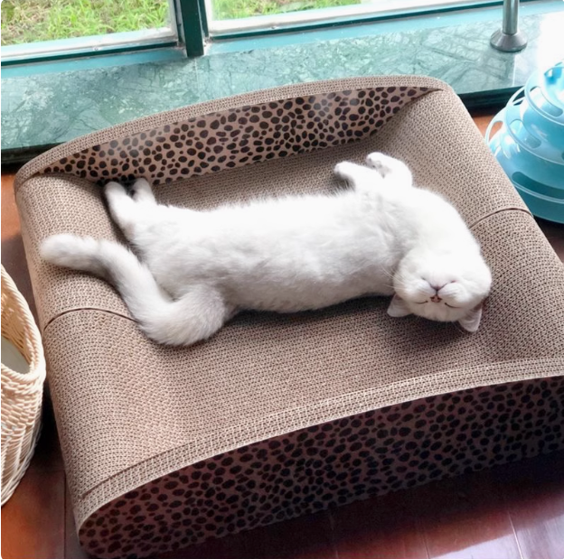 得酷猫抓板耐磨猫窝瓦楞纸多功能猫床磨爪板超大号猫沙发猫咪用品,宠物/宠物食品及用品,猫抓板,淘宝优惠券,粉丝福利购,淘宝优惠卷