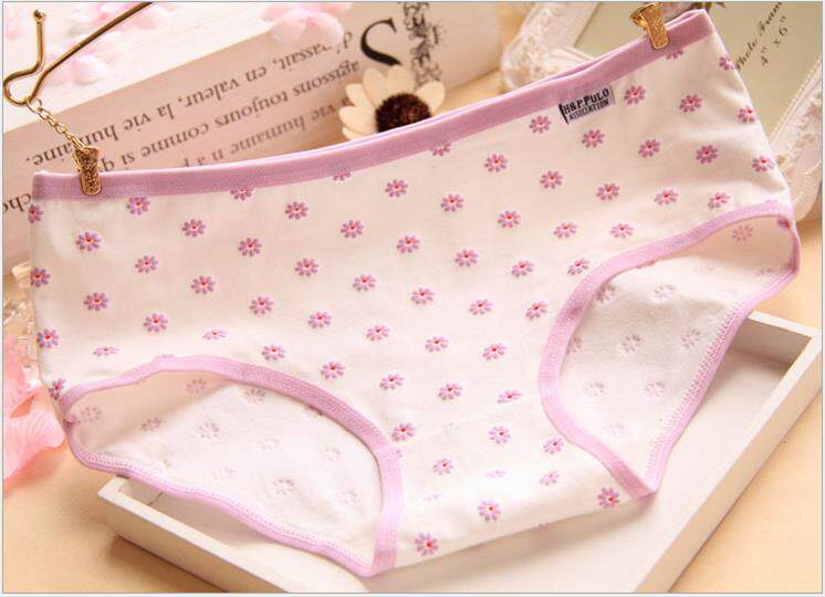 Slip jeunesse marguerite en coton - Ref 644026 Image 5