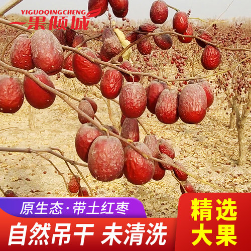 一果倾城新疆自然吊干和田大枣