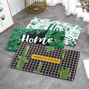 ins进门地垫入户地毯门垫