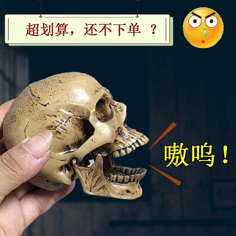 骷髅头骨仿真玩具雕塑医用艺用人体肌肉骨骼解剖结构模型美术生