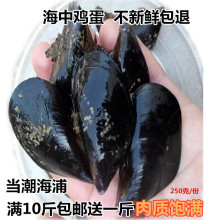 海鲜鲜活淡菜新鲜大海虹海捕贻贝大青口贝贝类烧烤连云港水产 包邮