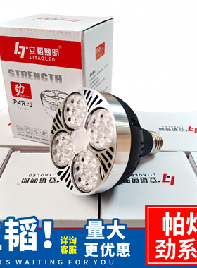 立韬照明LED轨道灯PAR30帕灯芯40W服装店射灯COB导轨灯明装射灯
