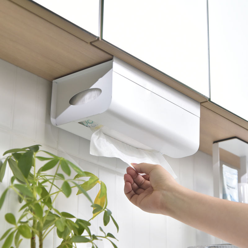 镜柜下洗脸巾收纳盒卫生间擦脸棉柔巾置物架家用浴室悬挂式纸巾盒