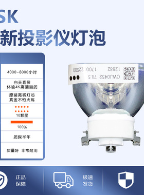 ASK S1340/S1350/S1360/S1370/S1380/S1390/S2310/SX330/SX380/SX320/SX120/SW360/C1420/C1500投影机仪灯泡