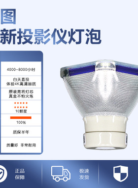 ACTO雅图LX450ST/LX460ST/LW316/LW3251/LW326ST/RAC400/DW35/RAC1100/RAC1002/RAC1200投影机仪灯泡