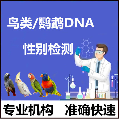 长恩鸟类性别检测鹦鹉DNA性别鉴定牡丹玄凤虎皮鸽子成鸟雏鸟检测