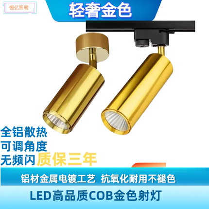LED金色明装射灯可调角度家用小吸顶式轨道灯聚光背景射灯
