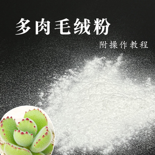 彩虹棠 超輕粘土樹脂粘土人軟陶花藝多肉植物專用白色毛粉熊童子
