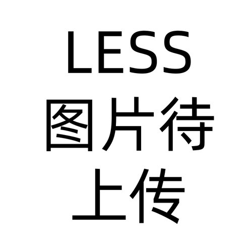 LESS国内专柜代购2025冬通勤直筒绵羊毛休闲裤2P0E18010-2295
