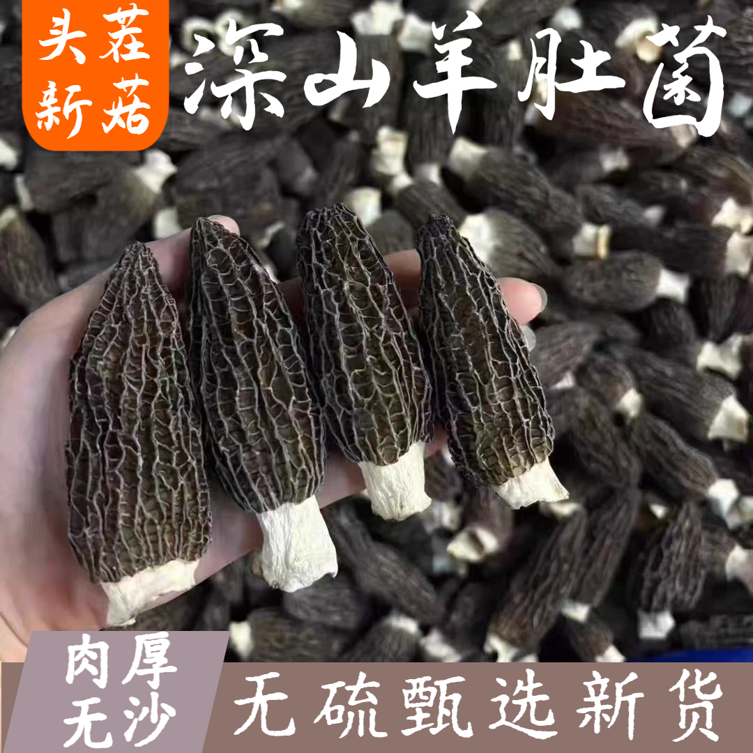 羊肚菌干货500g特级干羊肚菌剪柄羊肚菇干货头茬煲汤食材羊肚菌
