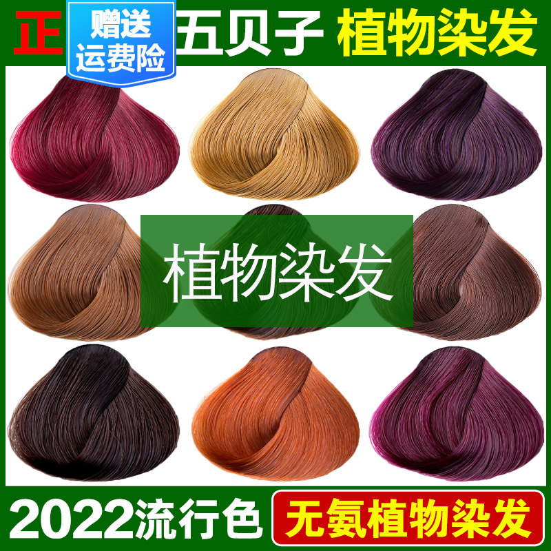 五倍子染发剂中草药植物天然无刺激正品品牌五倍子纯自己在家染发