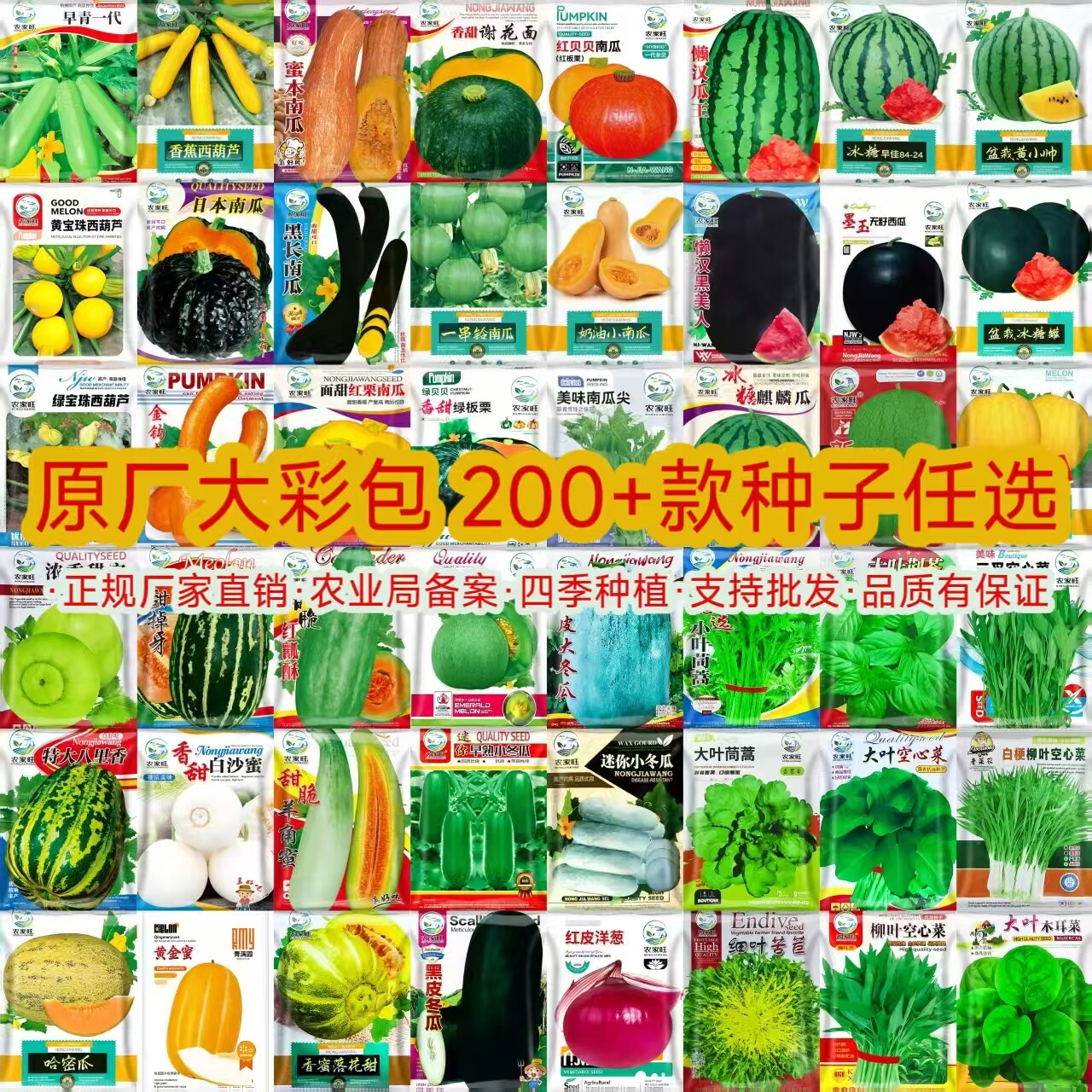 蔬菜种子组合装四季播阳台农家庭院盆栽辣椒番茄黄瓜韭菜香菜籽图片