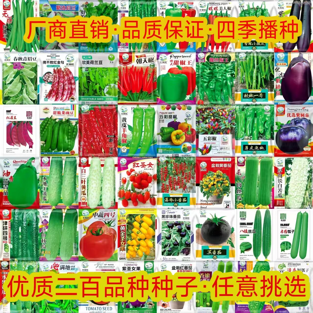 【批发专用】大袋蔬菜种子大全生菜辣椒茄子香菜四季菜籽菜组合装图片