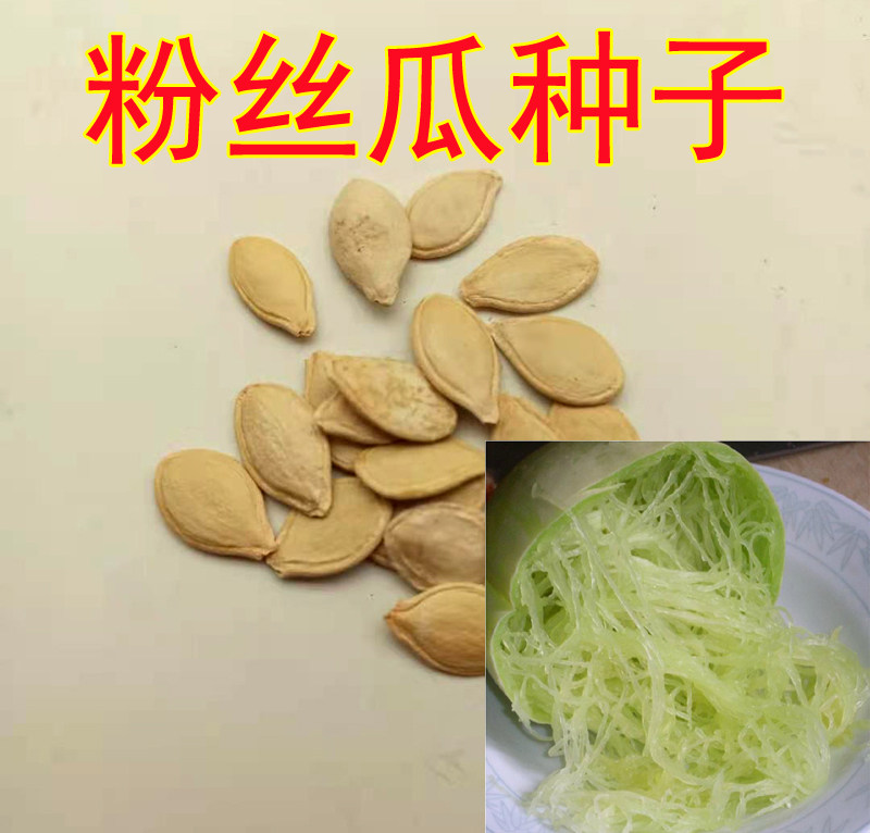 粉丝瓜种子茭瓜种春秋季搅瓜金丝绞瓜种籽金瓜丝黄金瓜籽蔬菜