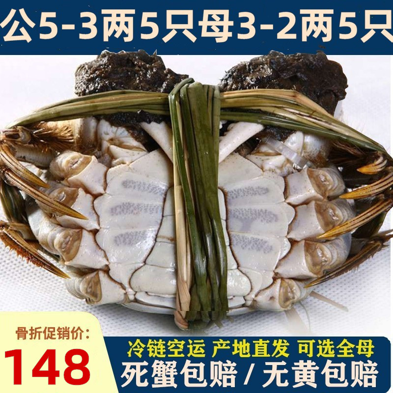 10只超大阳澄湖镇苏州大闸蟹鲜活螃蟹可全母3两现货湖蟹5官方旗舰