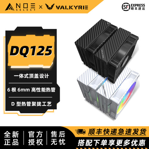瓦尔基里DQ125双塔风冷散热器